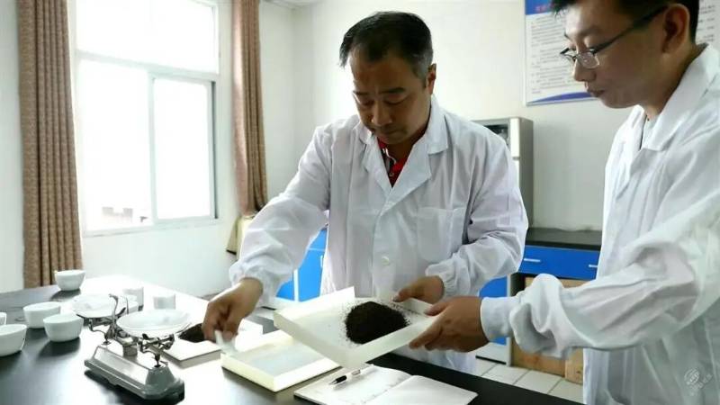 趙李橋茶廠代表性傳承人陳軍海創(chuàng)新工作室獲評咸寧市職工（勞模、工匠）創(chuàng)新工作室