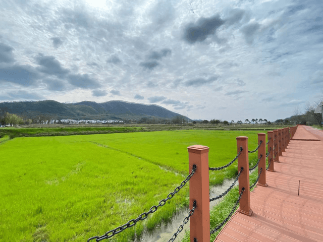 春暖花開，邀你一起品茶賞春